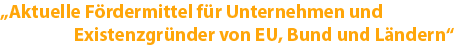 Aktuelle Fördermittel für Unternehmen und Existenzgründer von EU, Bund und Ländern